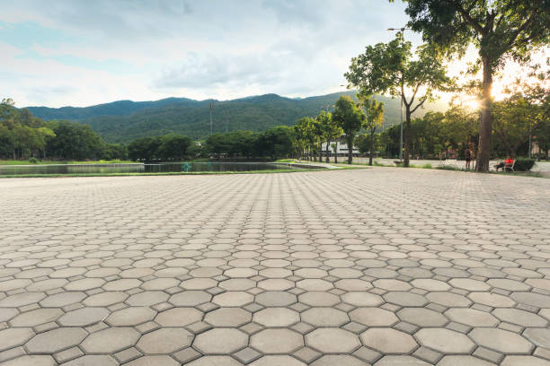 Best Driveway Pavers Near Me  in Andrews Af, MD
